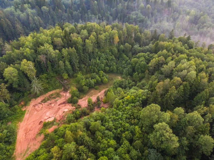 carbon neutral