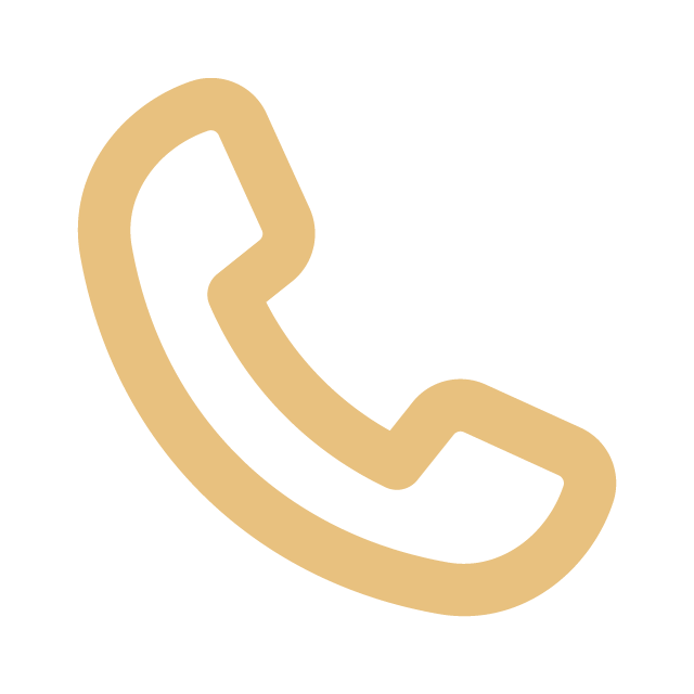 Phone Icon